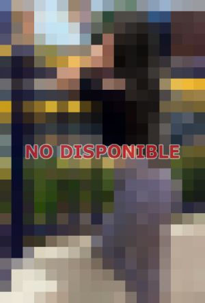 kine en Lince