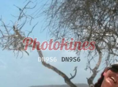 Michell 997393553 - Kinesióloga en Lince