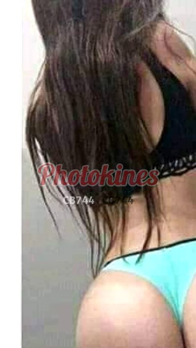 Brithany, kine en Lince