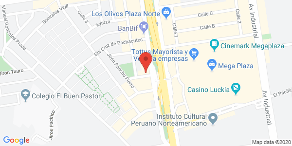 mega gaming casino los olivos