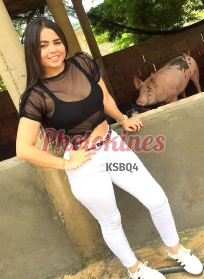 Brenda, Kine en Lince