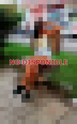 escort en Arequipa
